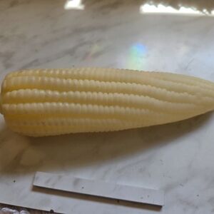 Coin Purse Corn on the Cob
